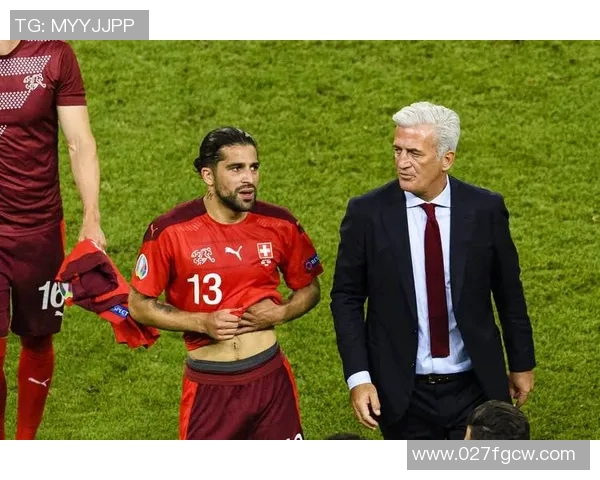 2008年欧洲杯土耳其对捷克切赫精彩表现回顾与分析